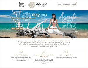 Vista Sitio Web Inicio EPY